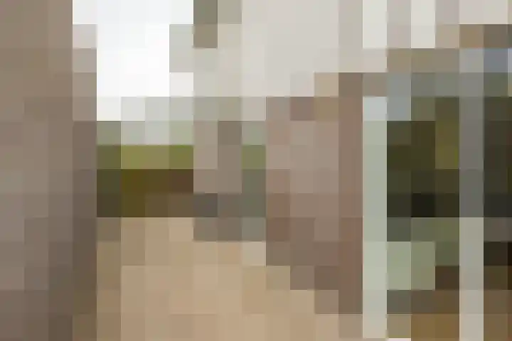 Daniël Ruynemanlaan 11 Groningen thumbnail 5