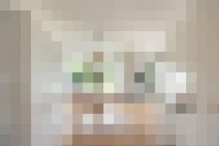 Daniël Ruynemanlaan 11 Groningen thumbnail 8