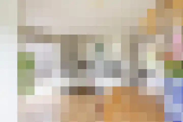 Daniël Ruynemanlaan 11 Groningen thumbnail 9
