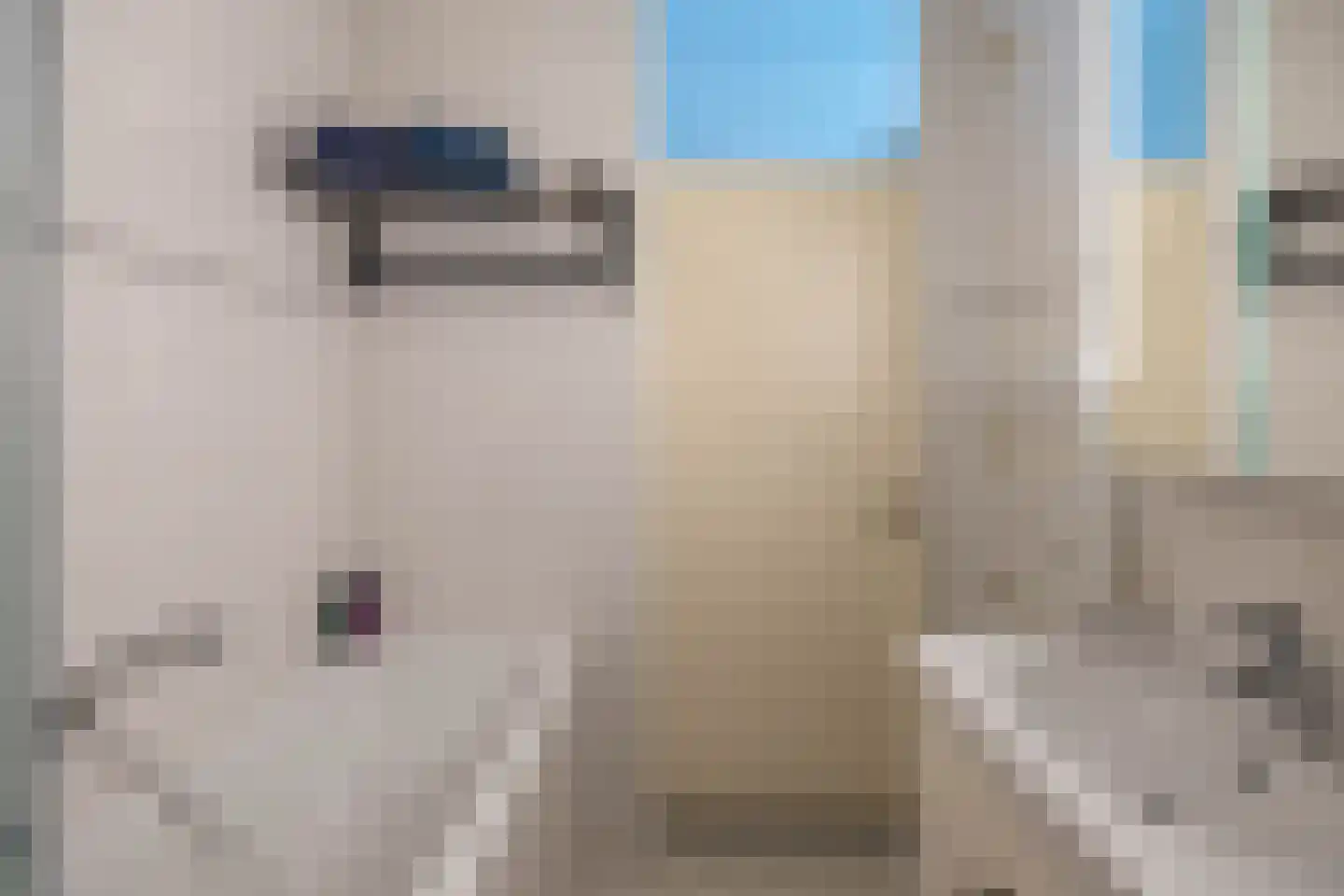 Daniël Ruynemanlaan 2 Groningen thumbnail 23