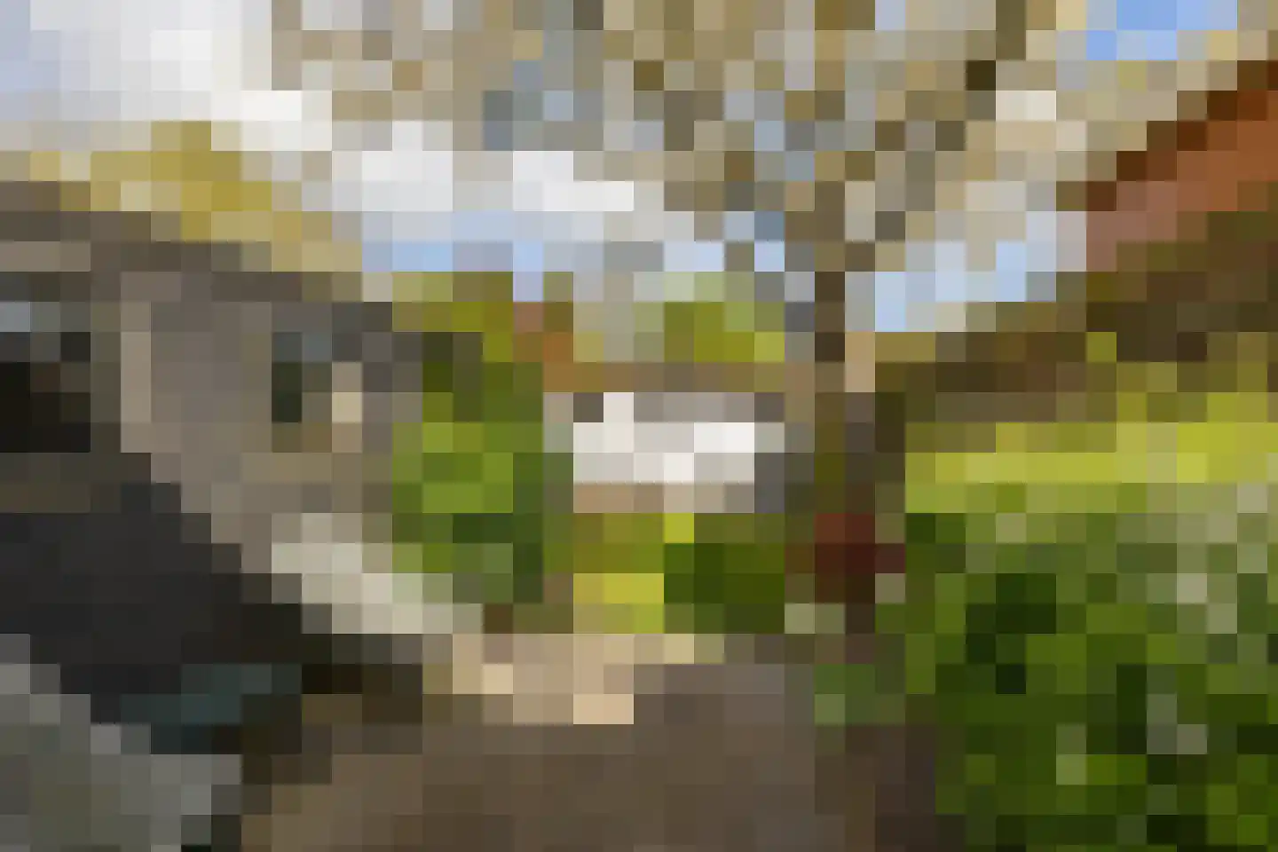 Daniël Ruynemanlaan 2 Groningen thumbnail 26