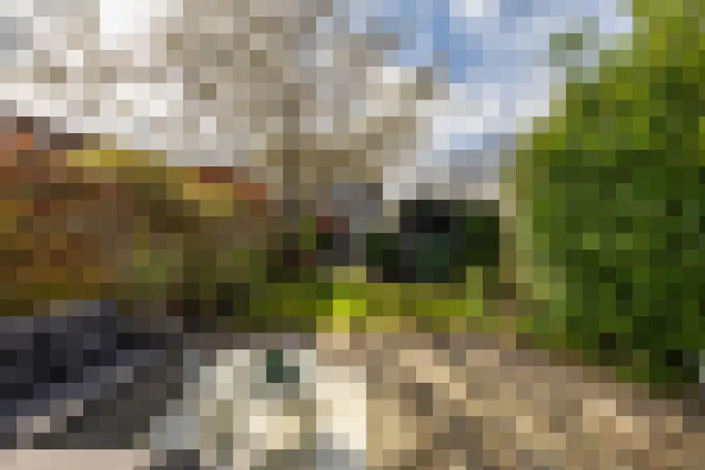 Daniël Ruynemanlaan 2 Groningen thumbnail 27