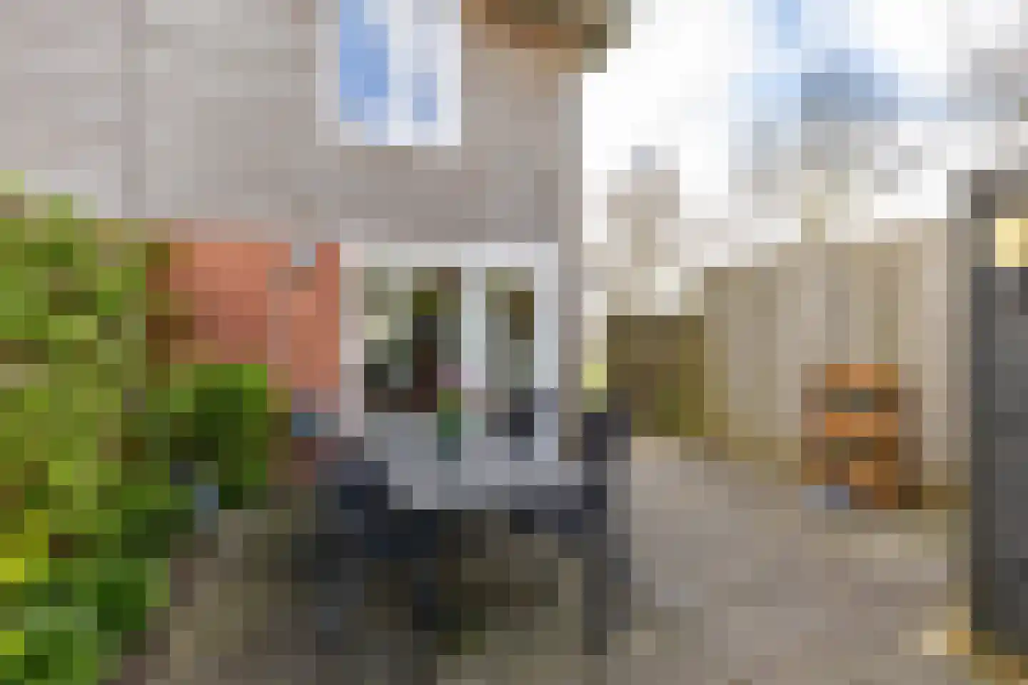 Daniël Ruynemanlaan 2 Groningen thumbnail 28