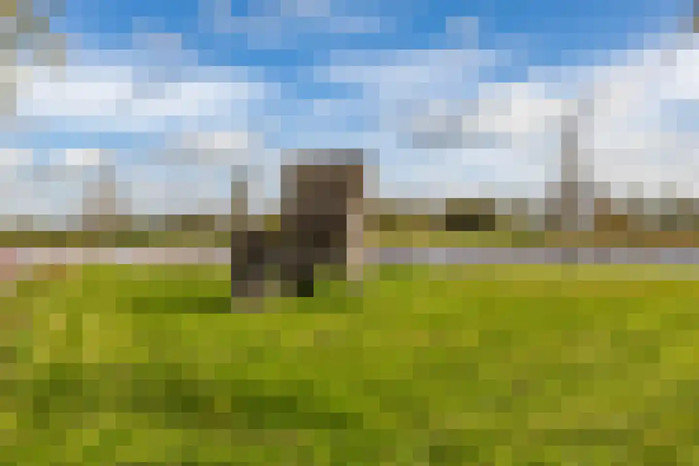Daniël Ruynemanlaan 2 Groningen thumbnail 32