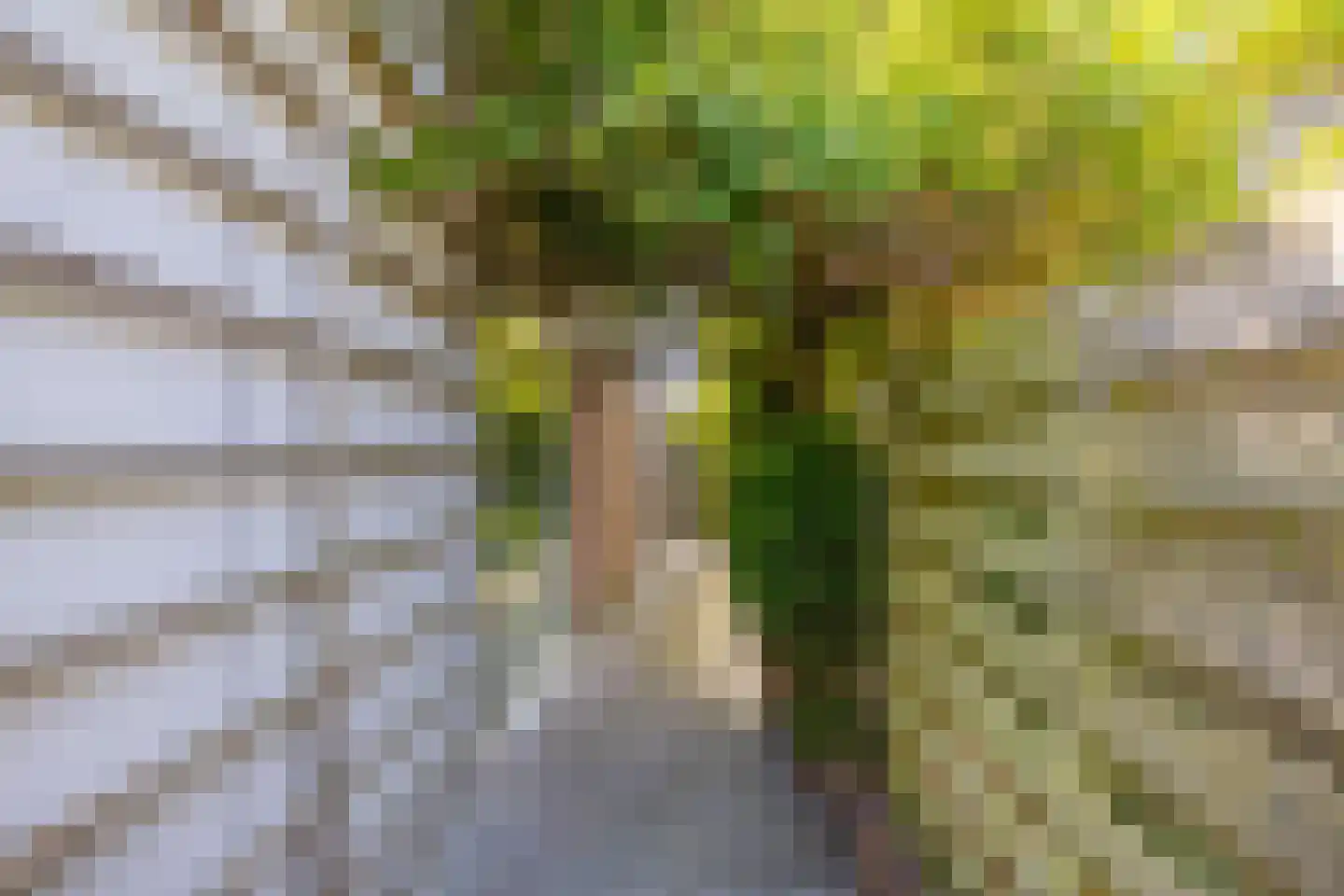 Daniël Ruynemanlaan 6 Groningen thumbnail 13