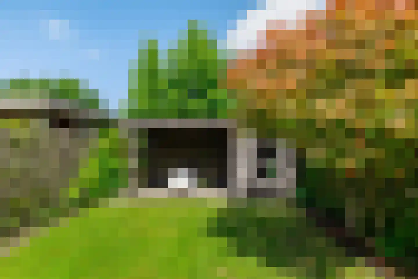 Daniël Ruynemanlaan 6 Groningen thumbnail 15
