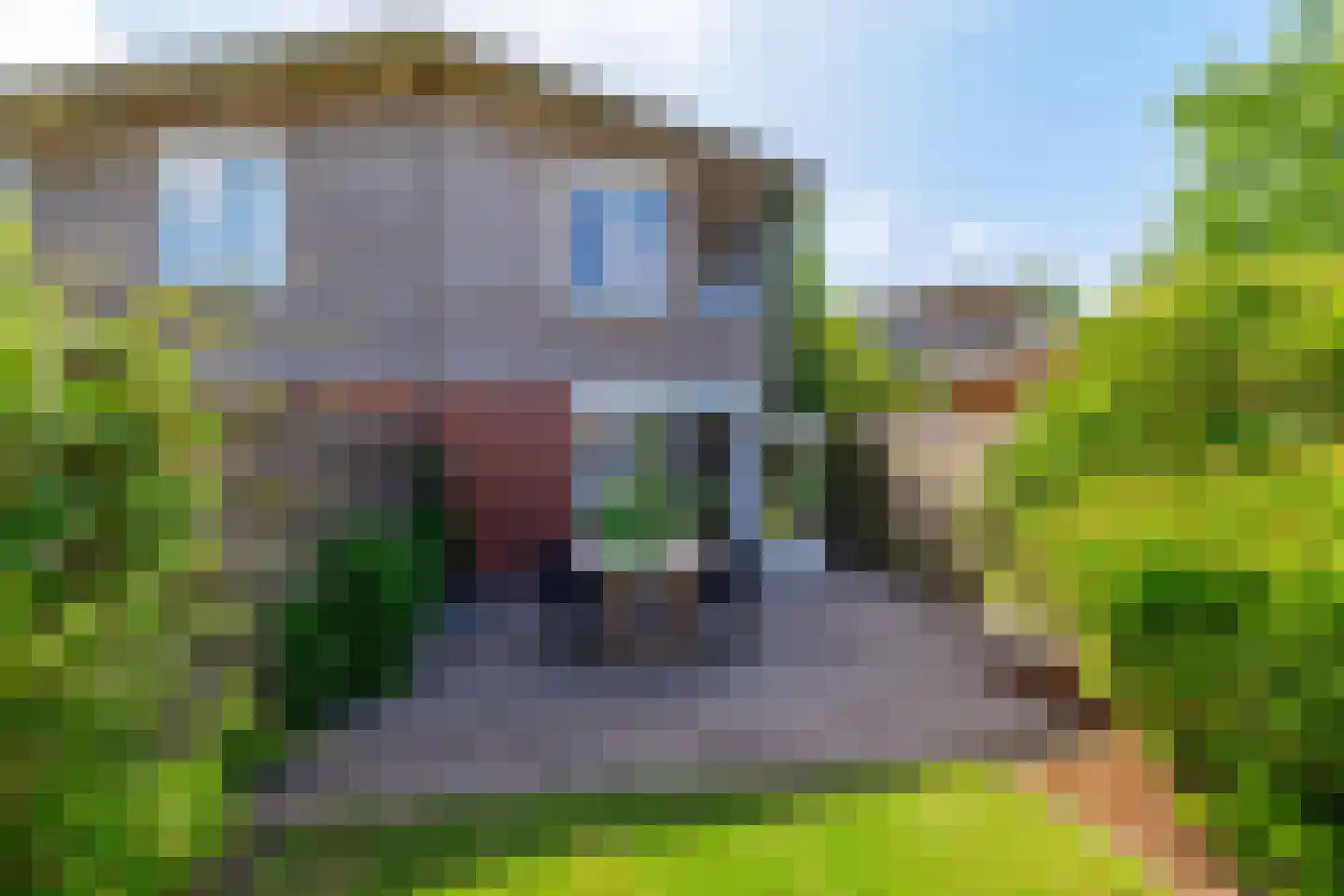 Daniël Ruynemanlaan 6 Groningen thumbnail 17