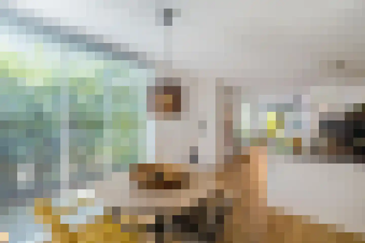 Daniël Ruynemanlaan 6 Groningen thumbnail 23