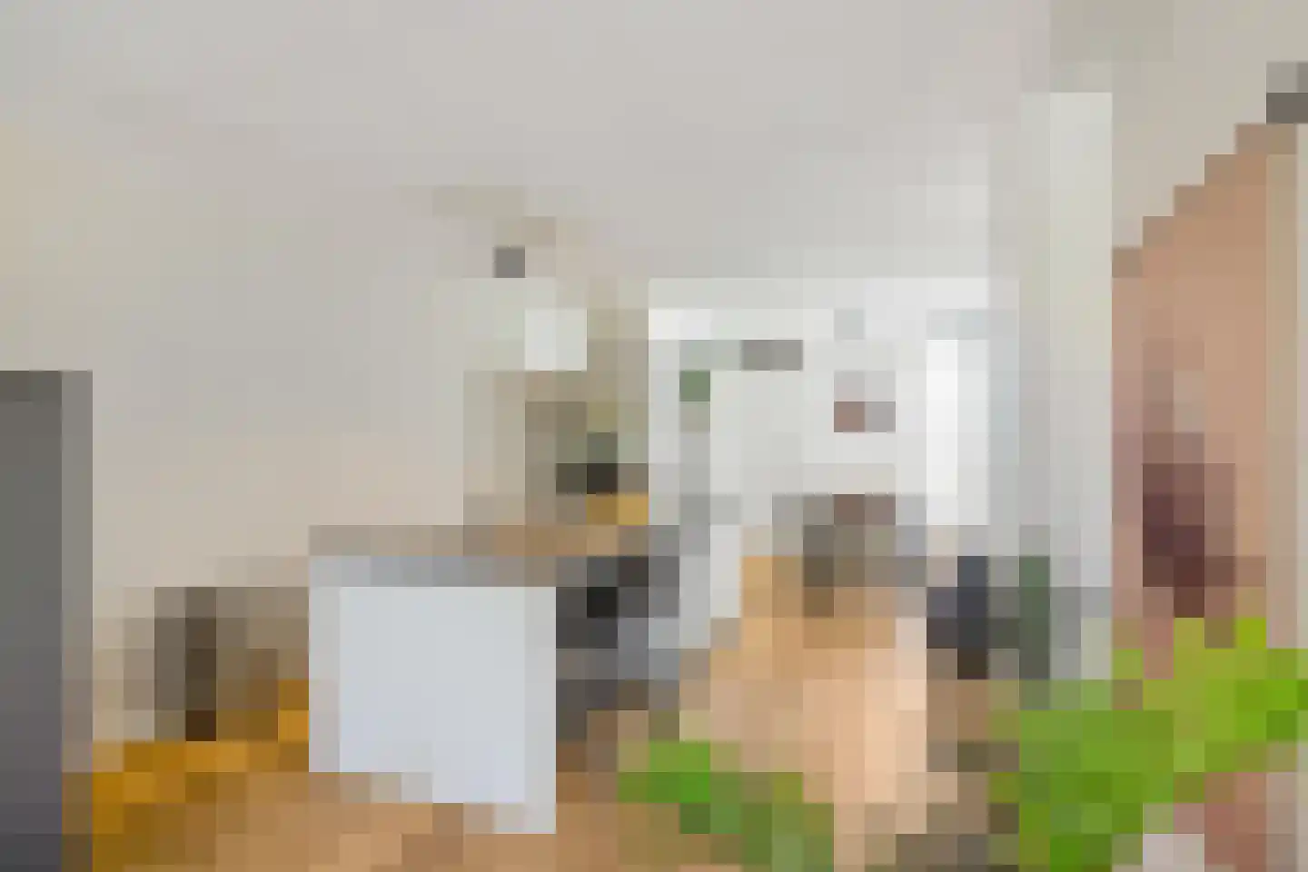 Daniël Ruynemanlaan 6 Groningen thumbnail 28