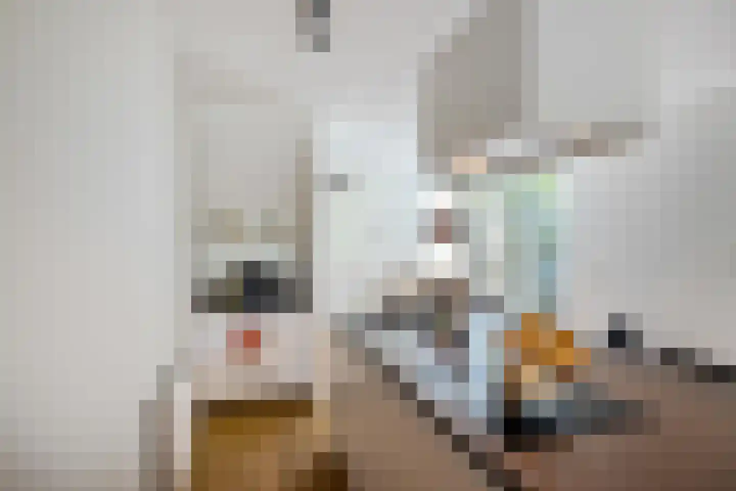 Daniël Ruynemanlaan 6 Groningen thumbnail 30