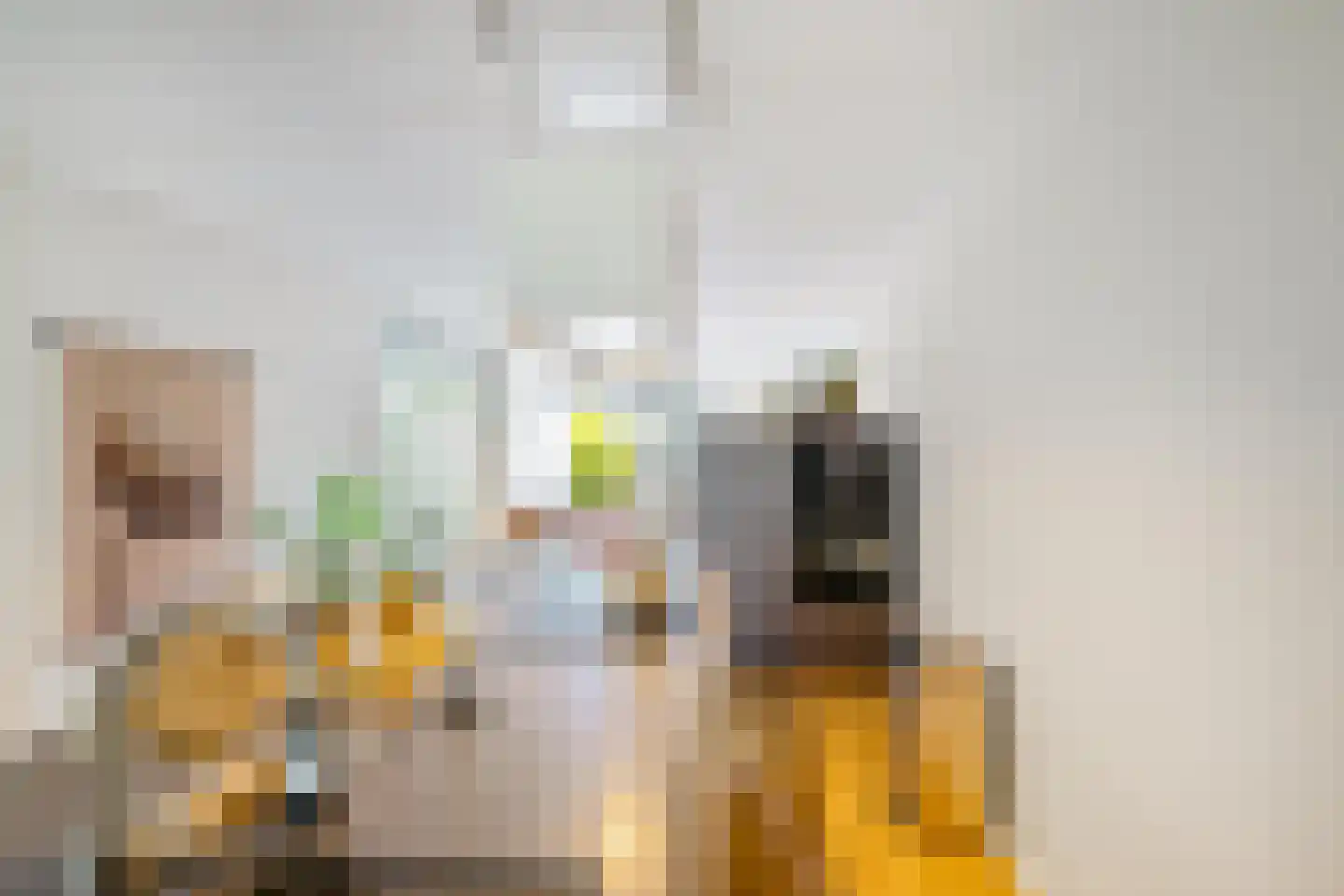 Daniël Ruynemanlaan 6 Groningen thumbnail 31