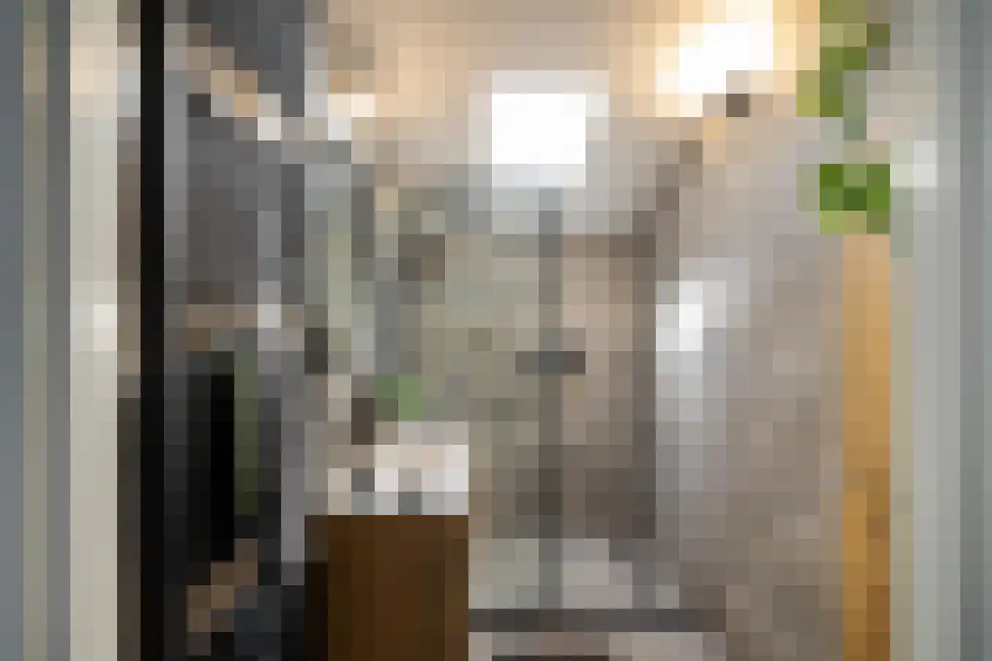 Daniël Ruynemanlaan 6 Groningen thumbnail 37