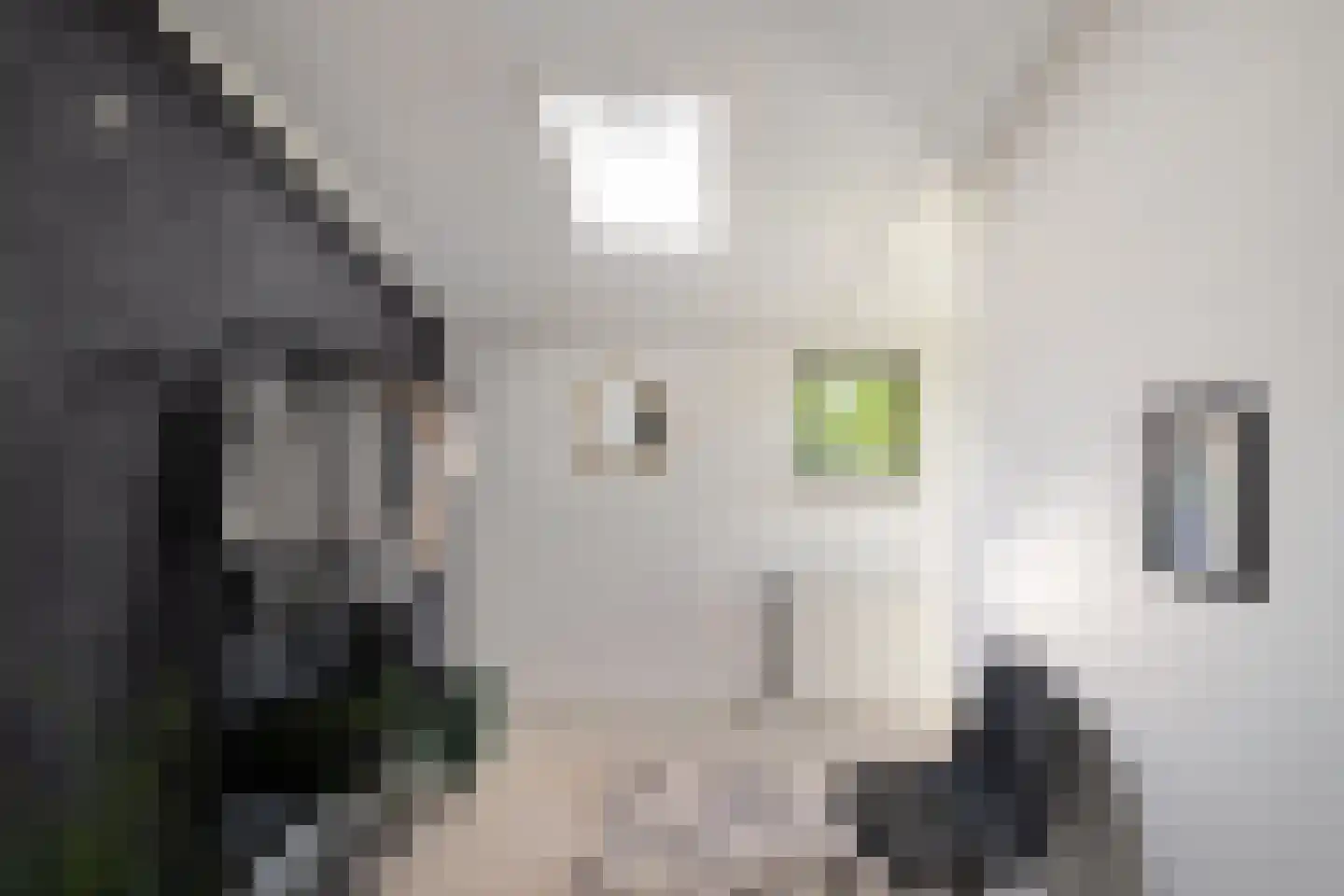 Daniël Ruynemanlaan 6 Groningen thumbnail 40