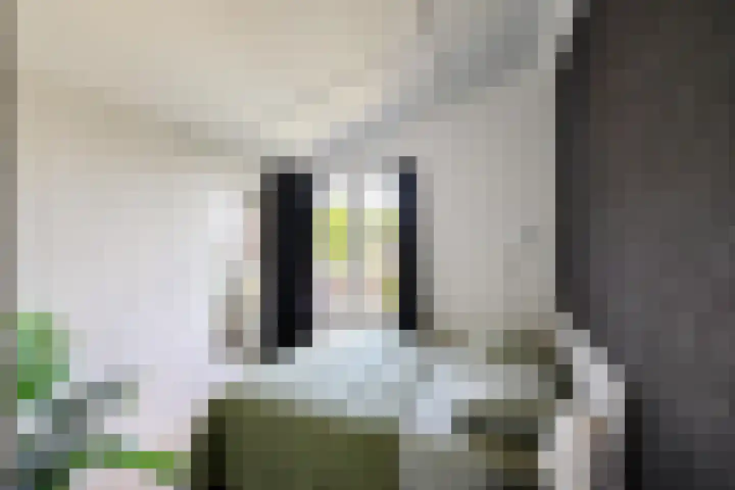 Daniël Ruynemanlaan 6 Groningen thumbnail 41