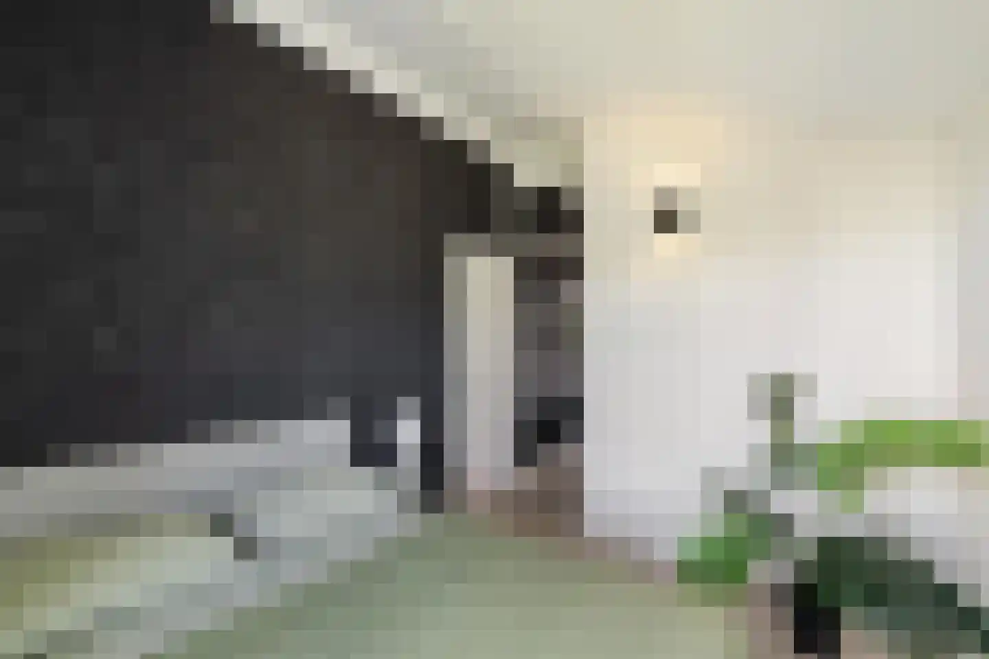 Daniël Ruynemanlaan 6 Groningen thumbnail 43