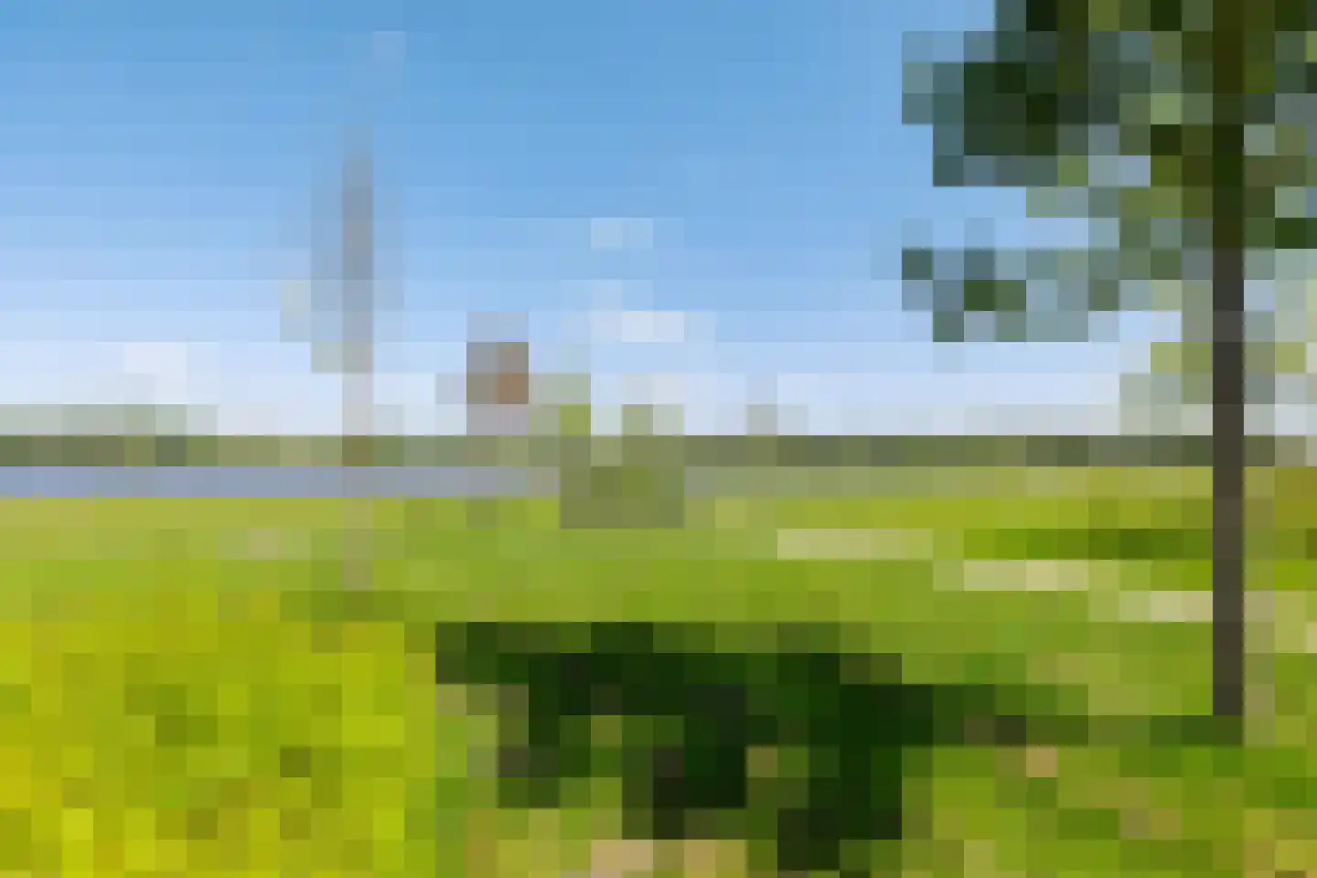 Daniël Ruynemanlaan 6 Groningen thumbnail 46
