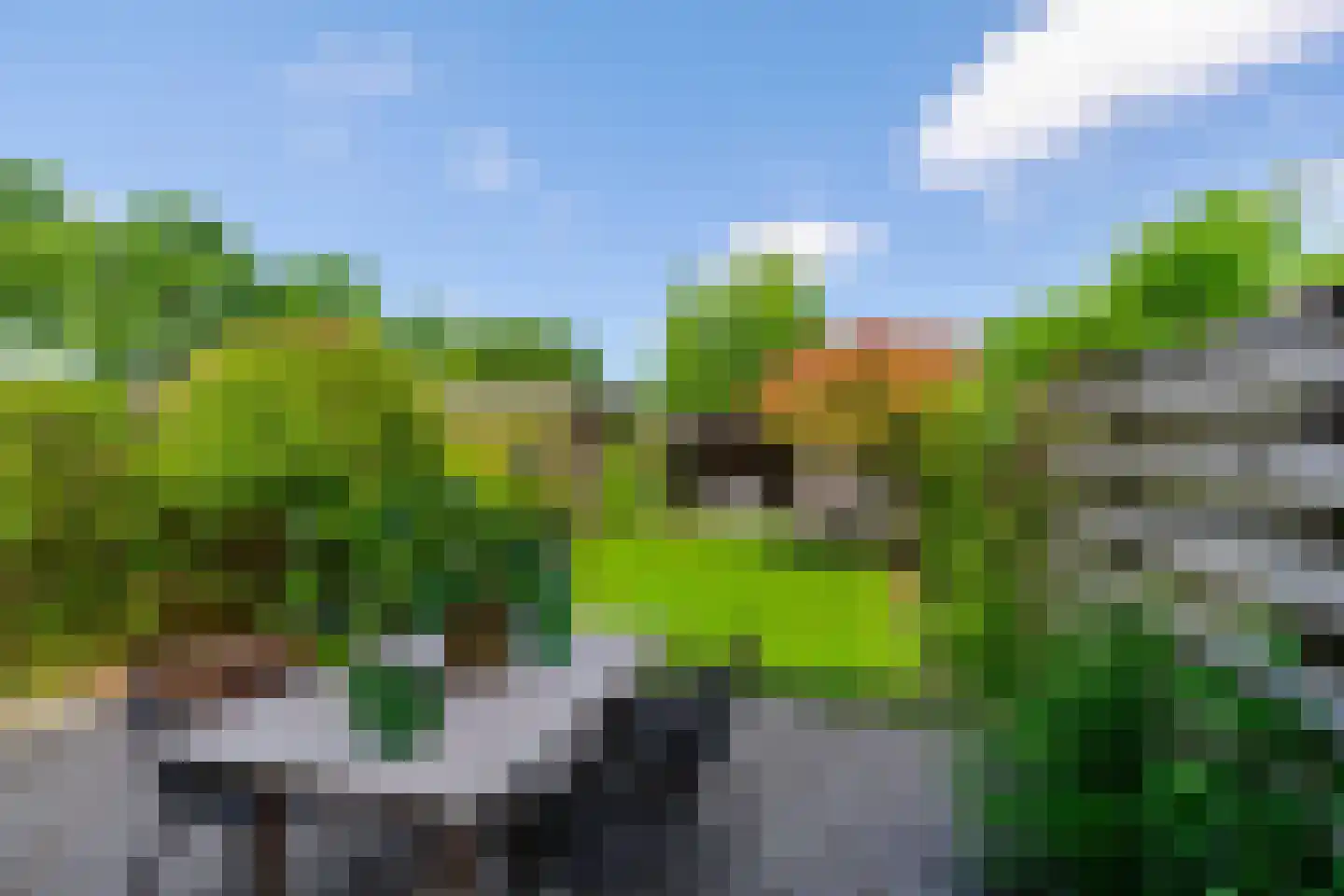 Daniël Ruynemanlaan 6 Groningen thumbnail 5