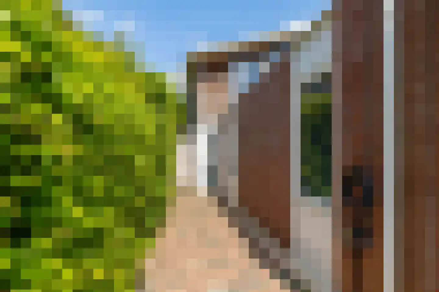 Daniël Ruynemanlaan 6 Groningen thumbnail 9