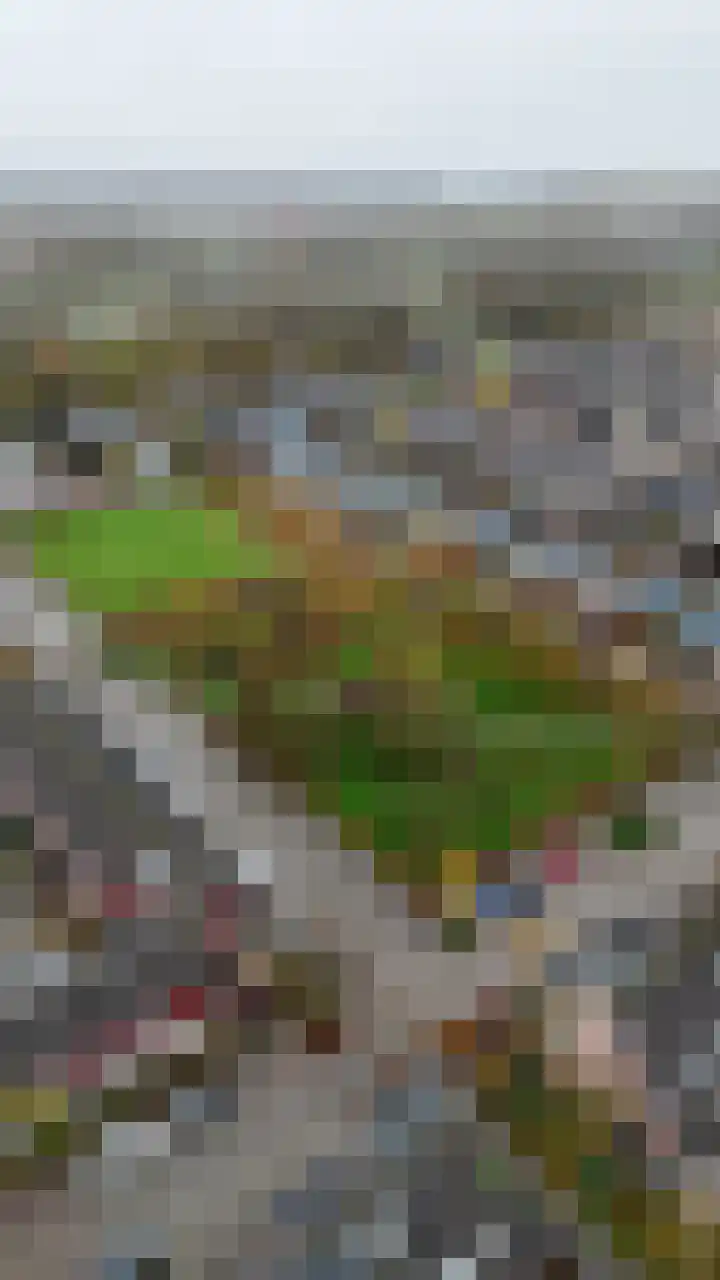 Daniël Stalpaertstraat 21 Almere thumbnail 32
