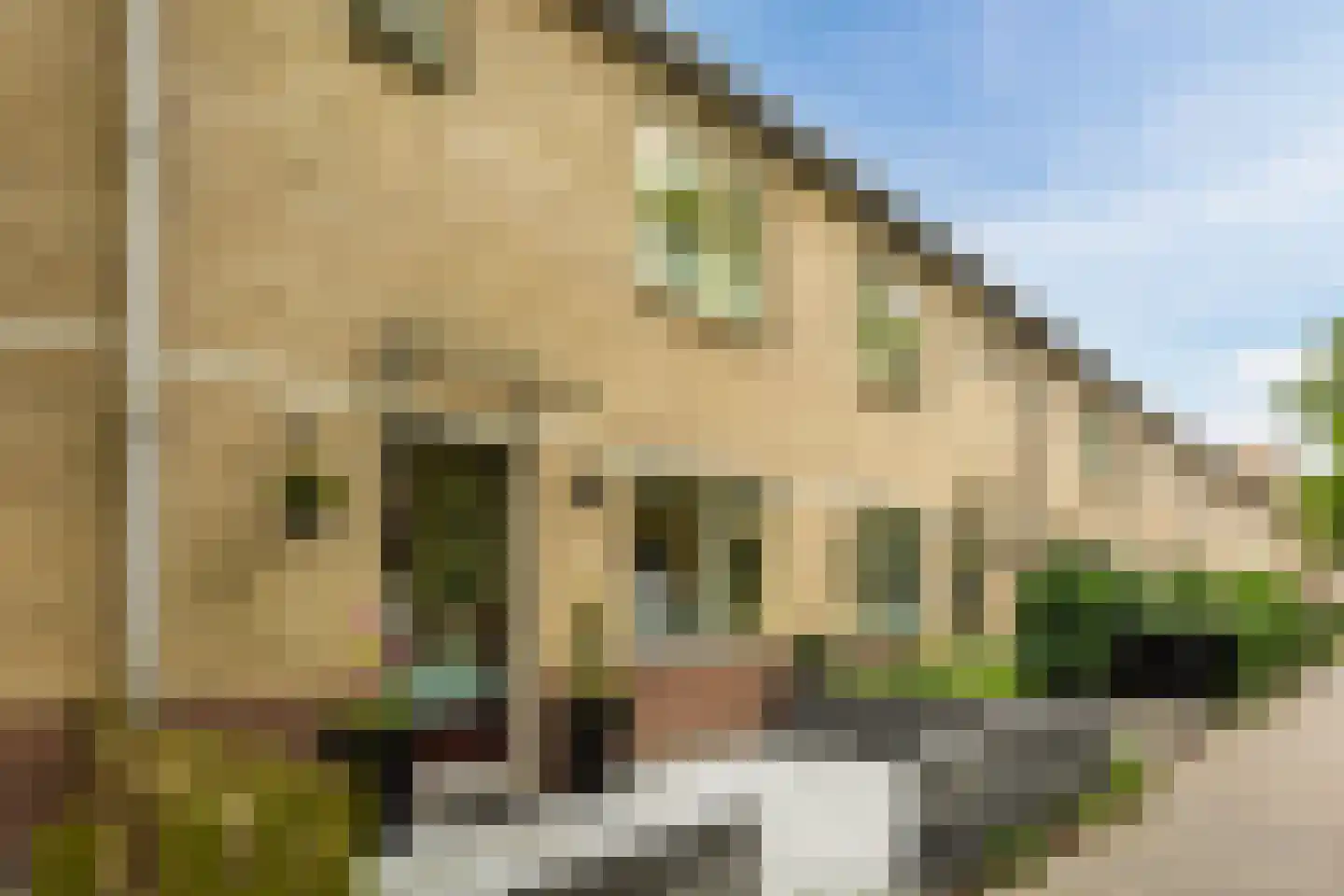 Daniël Stalpaertstraat 23 Almere thumbnail 4