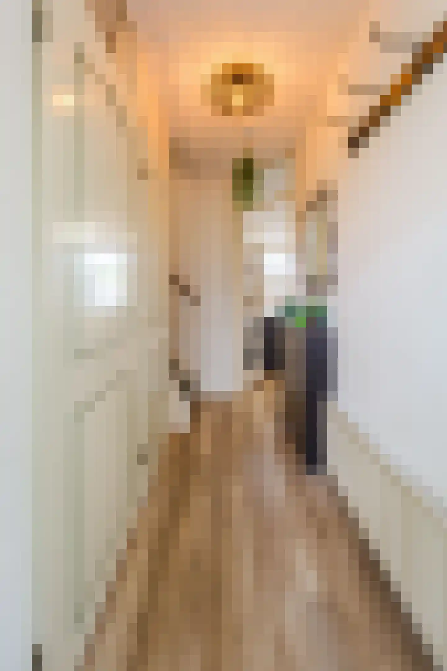Daniël Stalpaertstraat 23 Almere thumbnail 8