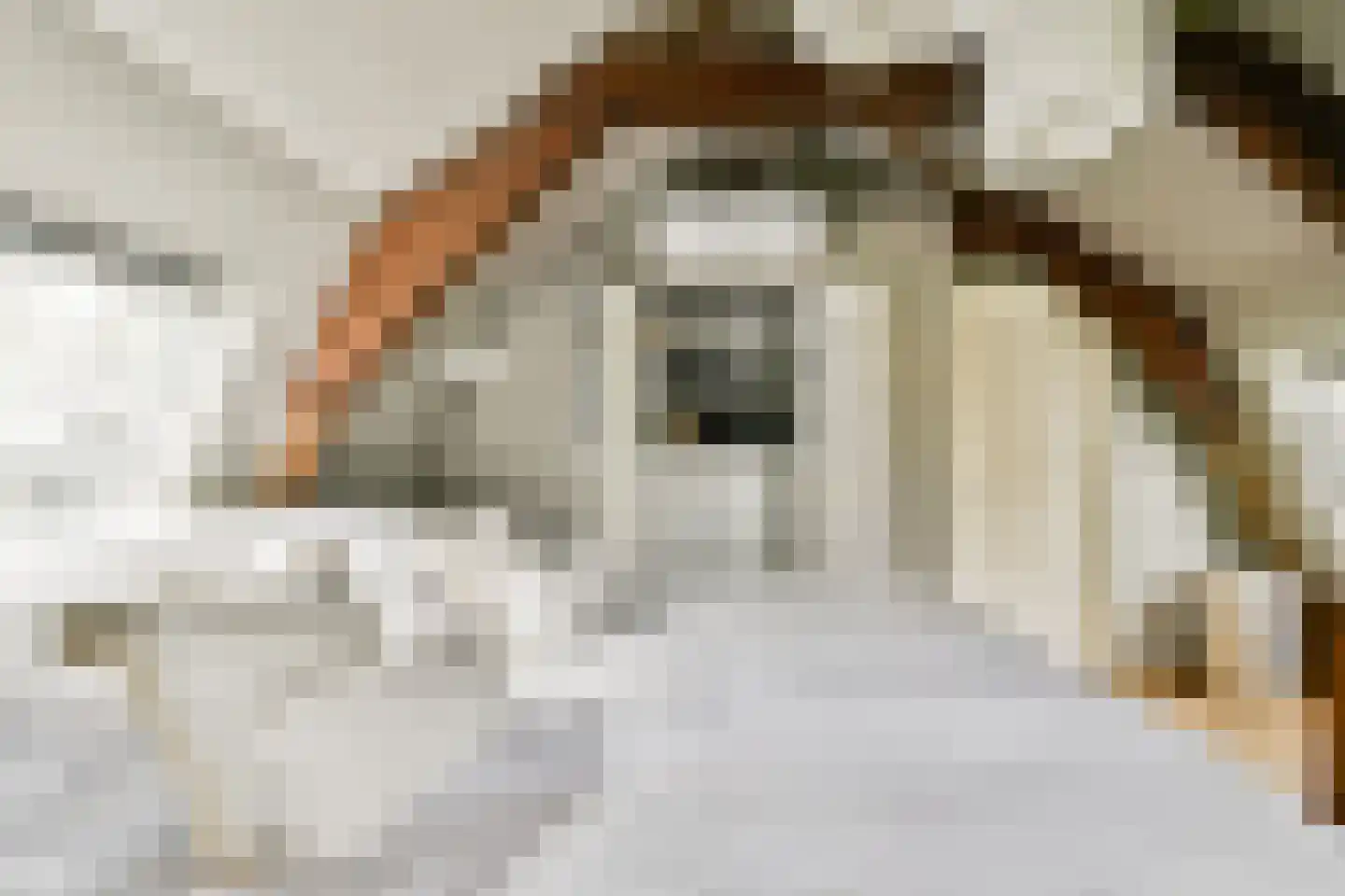 Daniël Stalpertstraat 23 B Amsterdam thumbnail 21