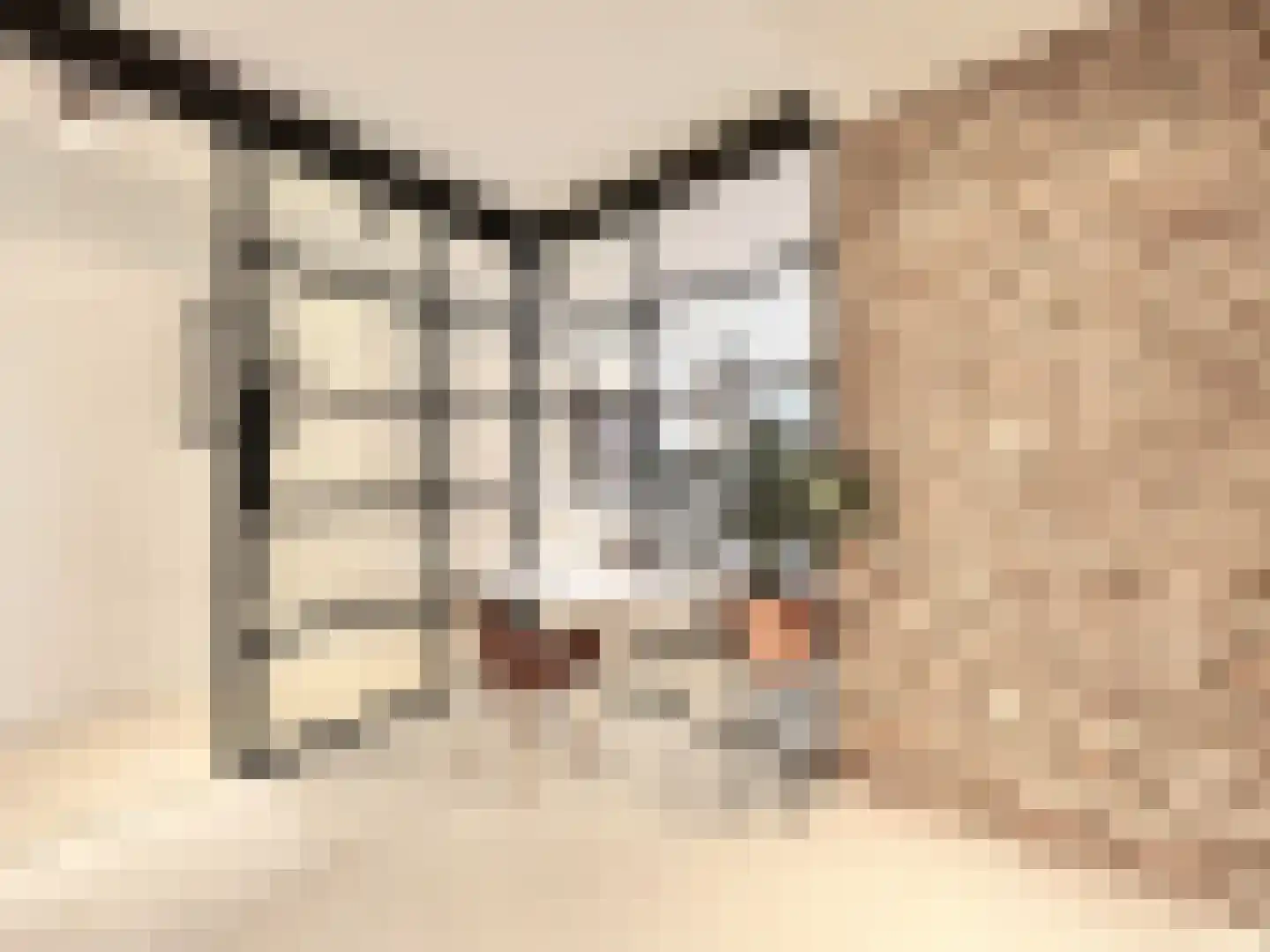 Daniël Stalpertstraat 39 Amsterdam thumbnail 10