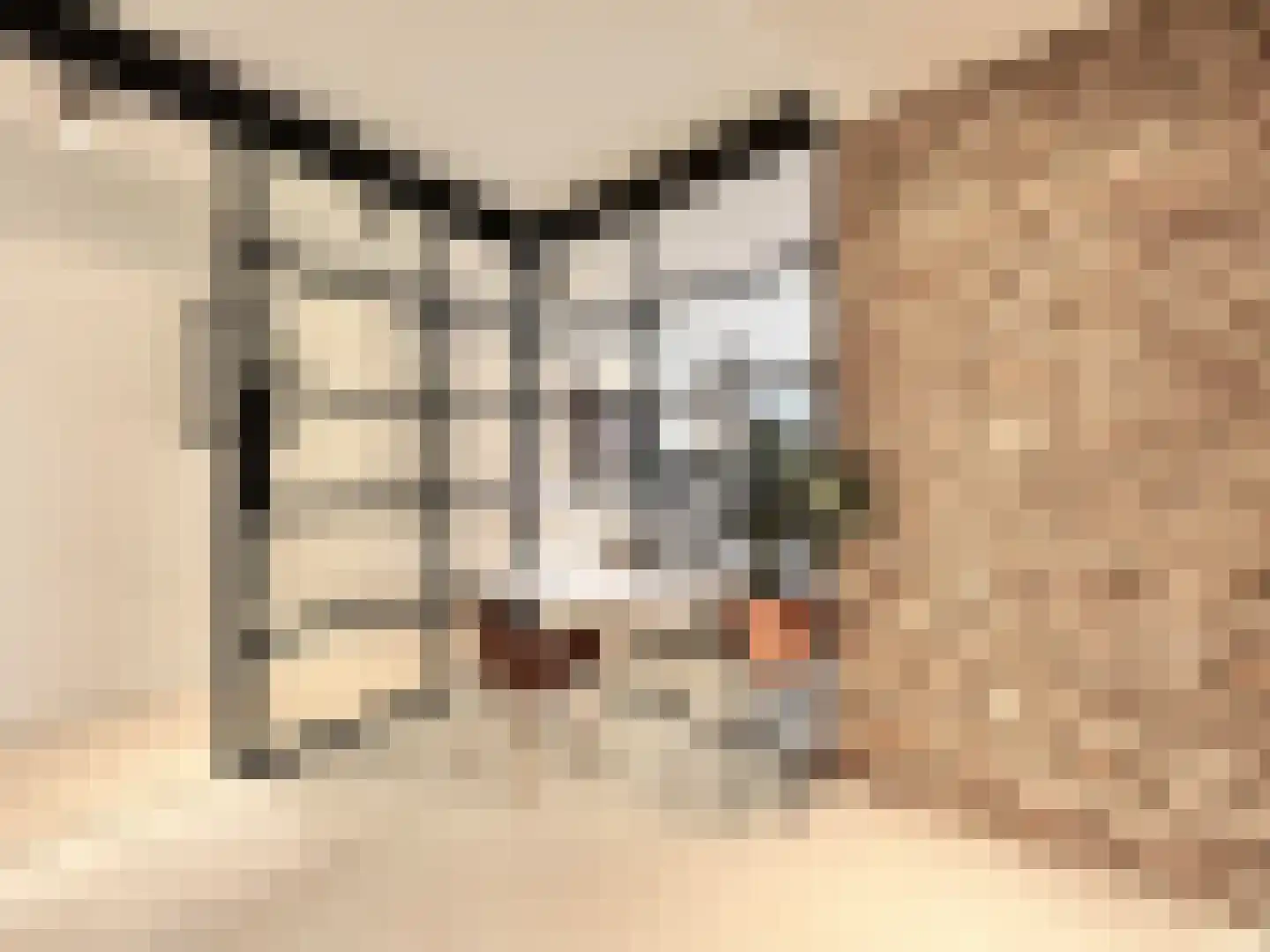 Daniël Stalpertstraat 39 Amsterdam thumbnail 10