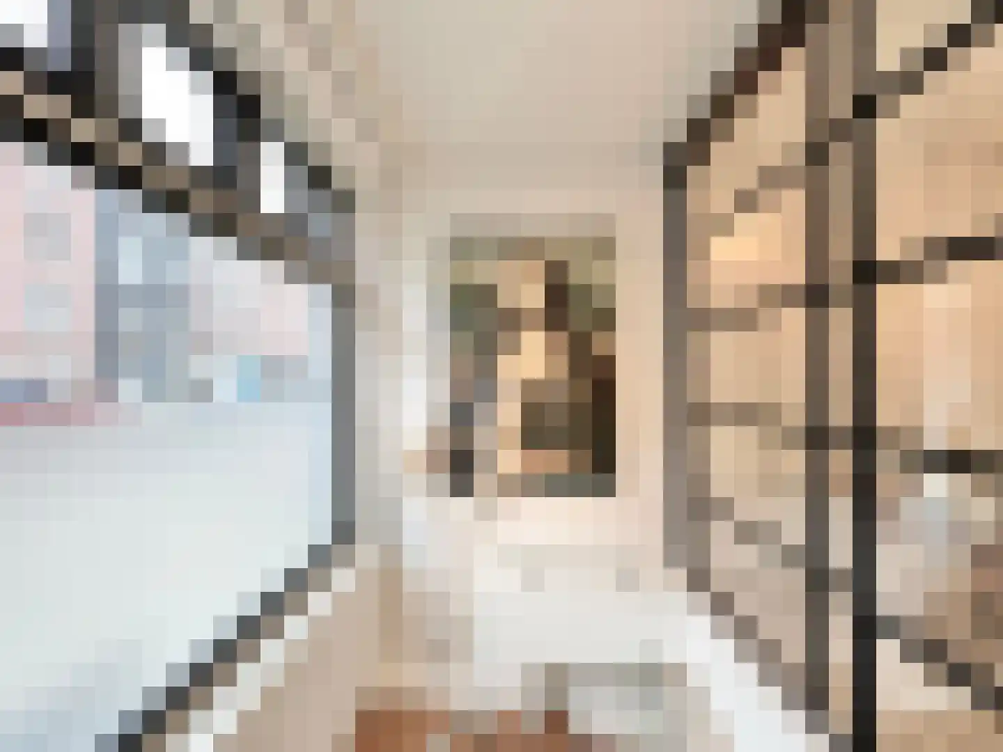 Daniël Stalpertstraat 39 Amsterdam thumbnail 17