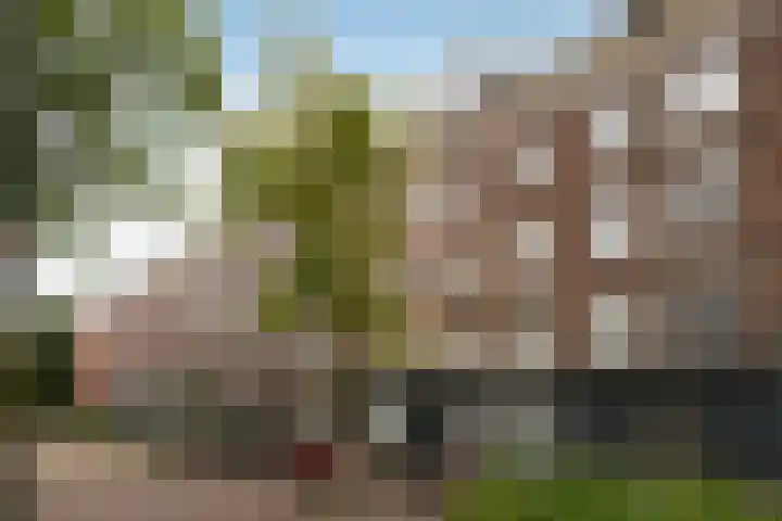 Daniël Stalpertstraat 51 2 Amsterdam thumbnail 21