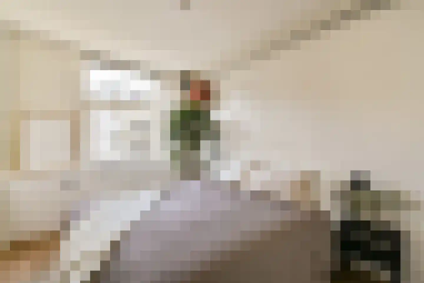 Daniël Stalpertstraat 52 1 Amsterdam thumbnail 9