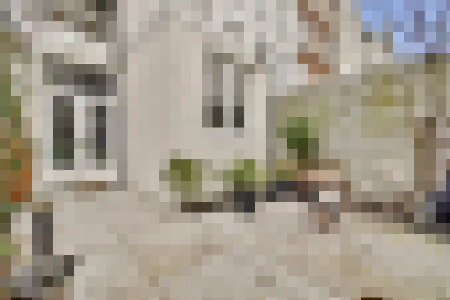 Daniël Stalpertstraat 54 3 Amsterdam thumbnail 18