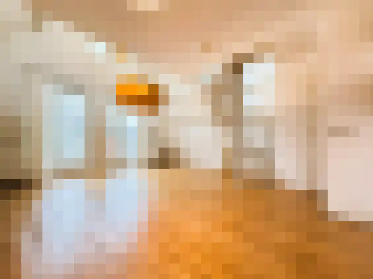 Daniël Stalpertstraat 84 Amsterdam thumbnail 5
