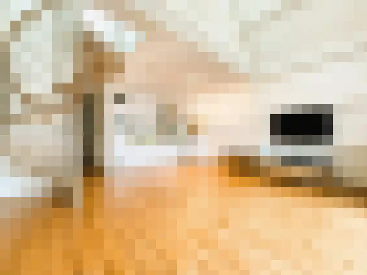 Daniël Stalpertstraat 84 Amsterdam thumbnail 6