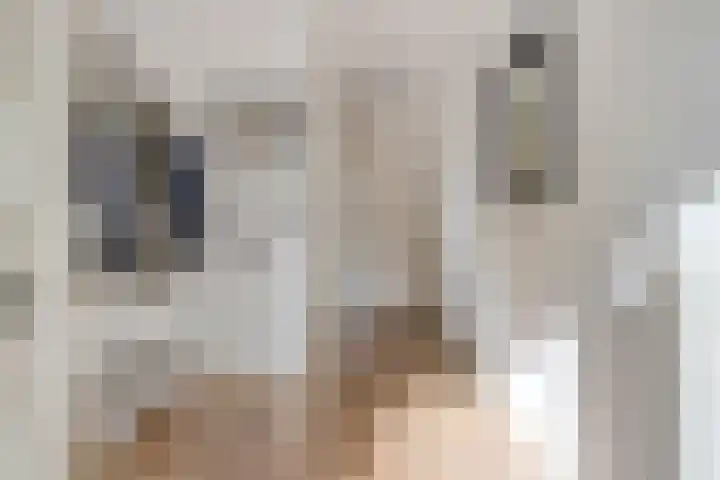 Daniël Stoopendaallaan 2 Maarssen thumbnail 16