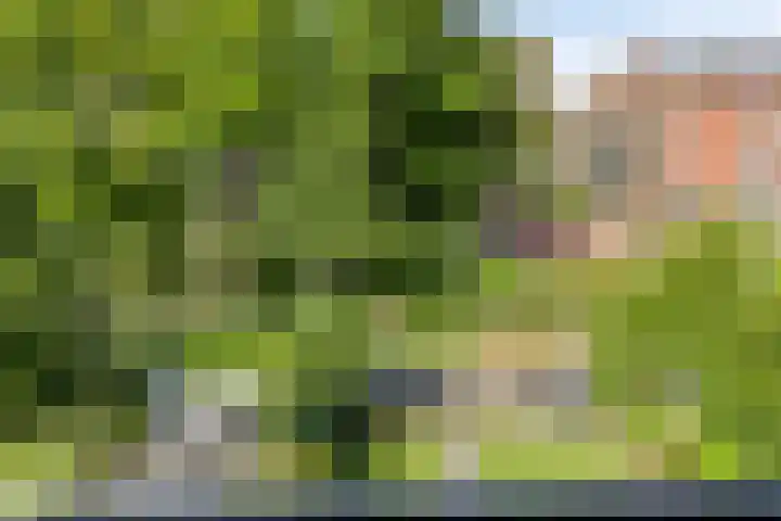 Daniël Stoopendaallaan 2 Maarssen thumbnail 19