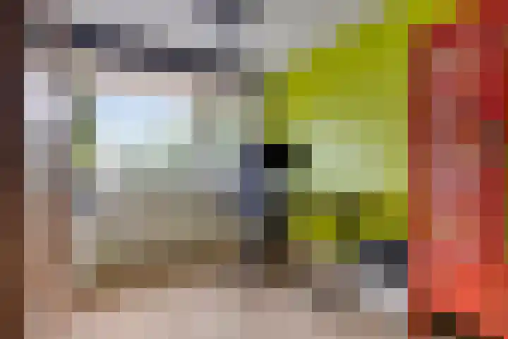 Daniël Stoopendaallaan 2 Maarssen thumbnail 23
