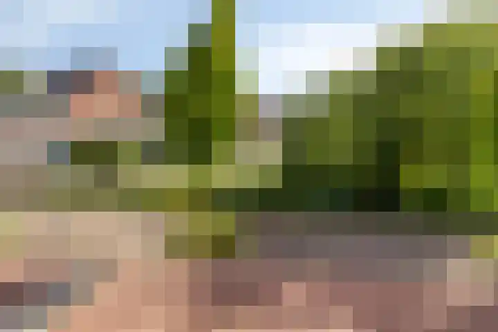 Daniël Stoopendaallaan 2 Maarssen thumbnail 24