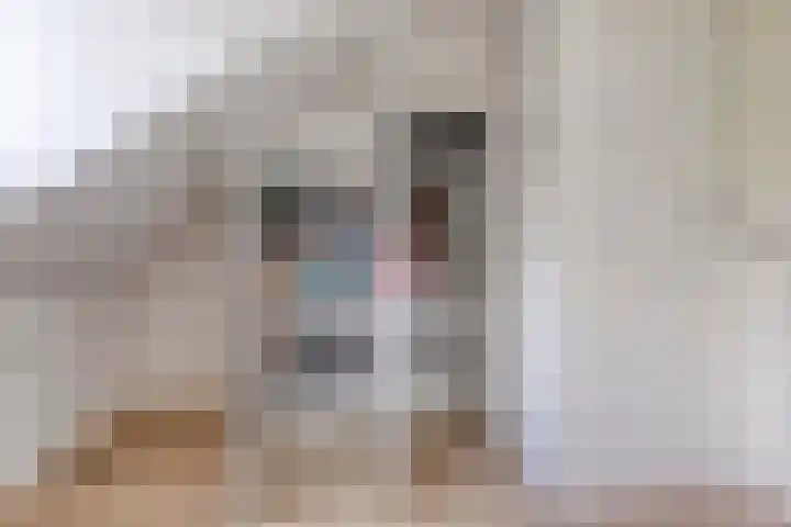 Daniël Stoopendaallaan 2 Maarssen thumbnail 30