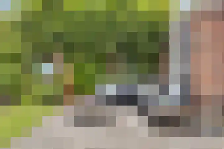 Daniël Stoopendaallaan 2 Maarssen thumbnail 36