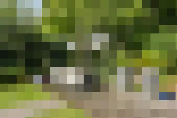 Daniël Stoopendaallaan 2 Maarssen thumbnail 37