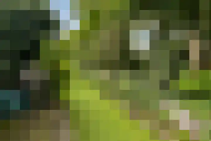 Daniël Stoopendaallaan 2 Maarssen thumbnail 38