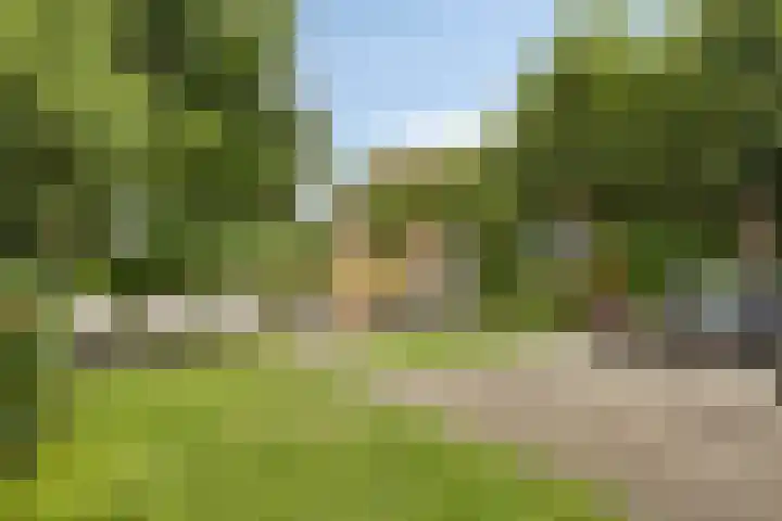 Daniël Stoopendaallaan 2 Maarssen thumbnail 4