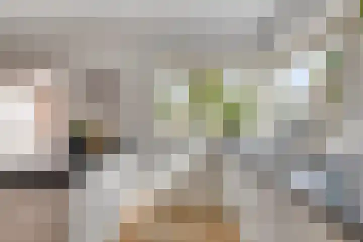 Daniël Stoopendaallaan 2 Maarssen thumbnail 9