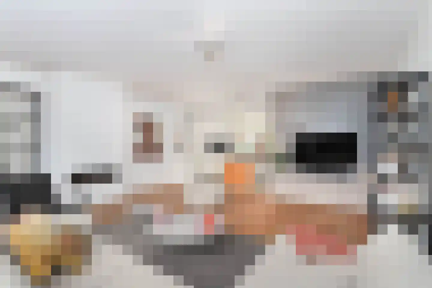 Daniël Stoopendaallaan 22 Maarssen thumbnail 4