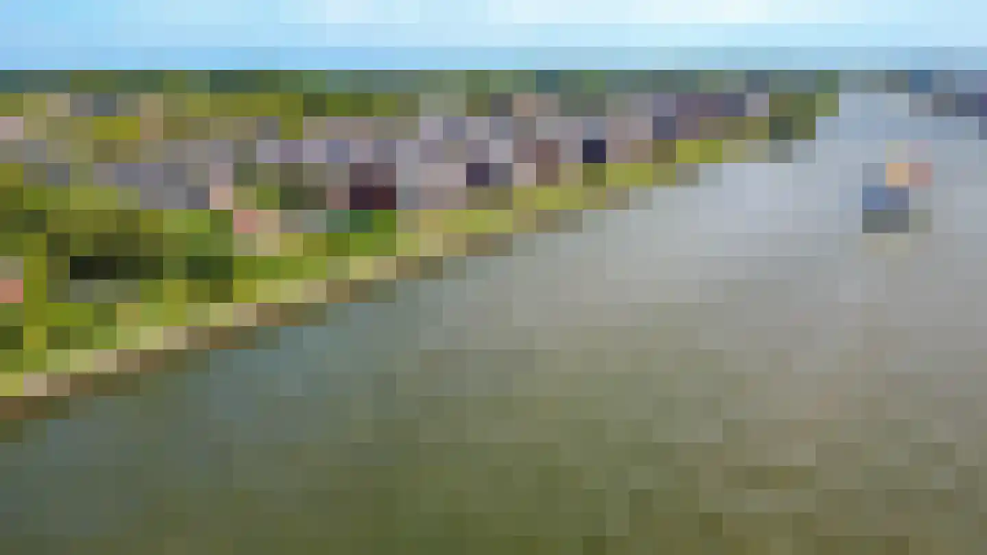 Daniël Stoopendaallaan 22 Maarssen thumbnail 51