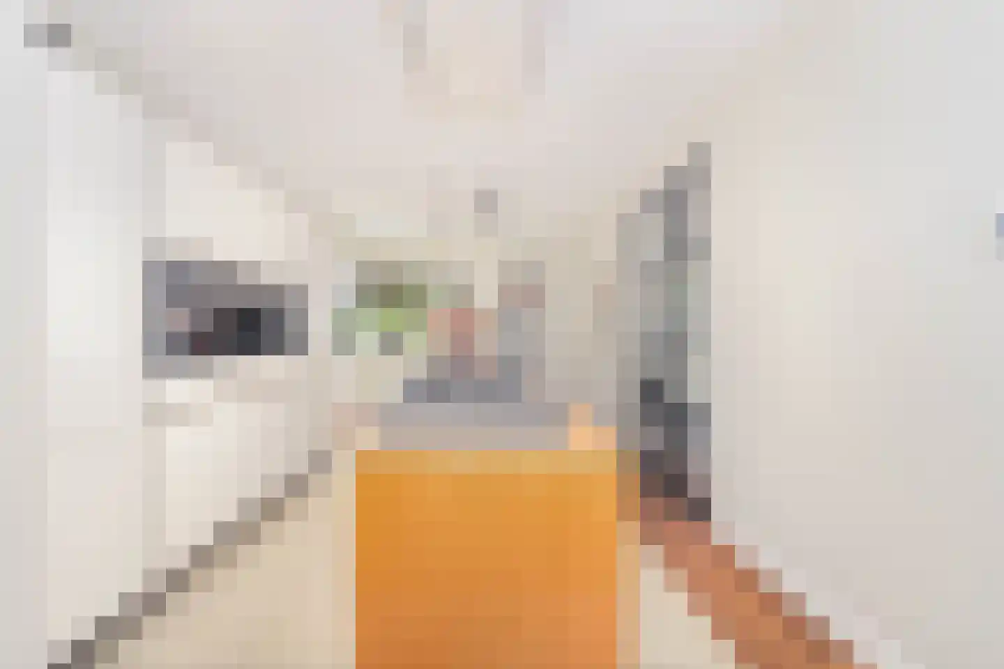 Daniël Stoopendaallaan 22 Maarssen thumbnail 9