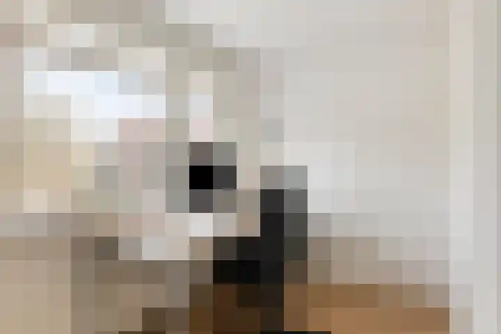 Daniël Stoopendaallaan 4 Maarssen thumbnail 17