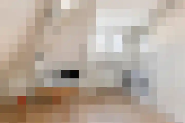 Daniël Stoopendaallaan 4 Maarssen thumbnail 29