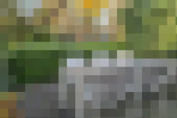 Daniël Stoopendaallaan 4 Maarssen thumbnail 31